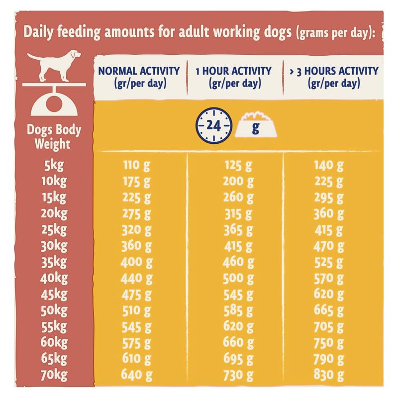 BETA Adult Working Dog || Beta || view 4