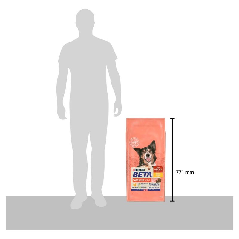 BETA Adult Working Dog || Beta || view 6