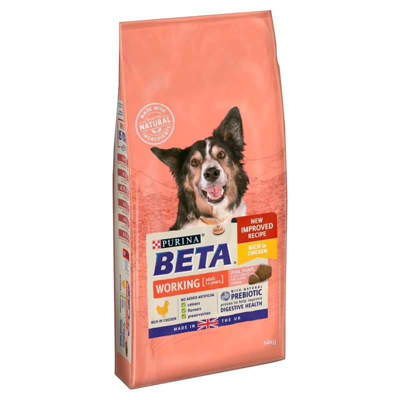 BETA Adult Working Dog || Beta || view 2
