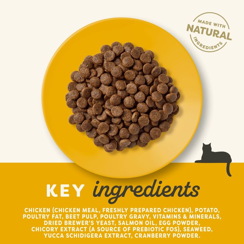 Applaws Cat Food Economy Packs || Applaws || view 21