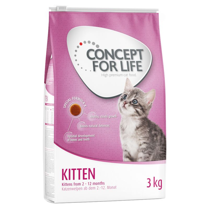 Concept for Life Kitten || Concept for Life || view 3