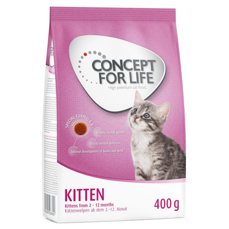 Concept for Life Kitten || Concept for Life || view 2