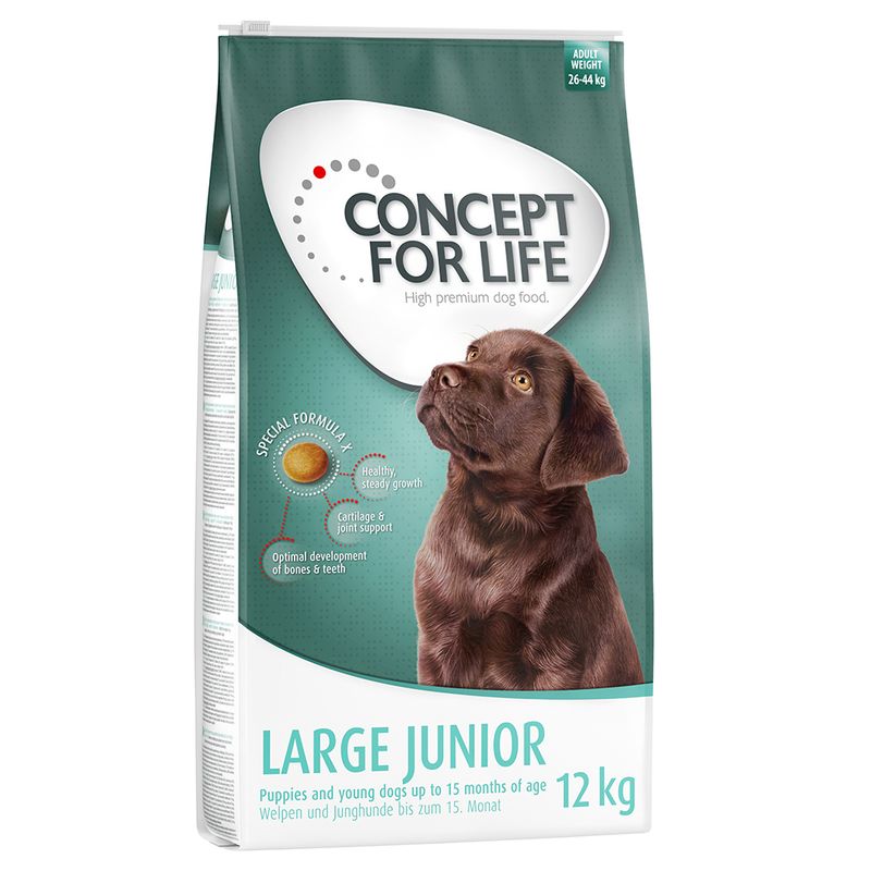 Concept for Life Economy Packs || undefined || view 5