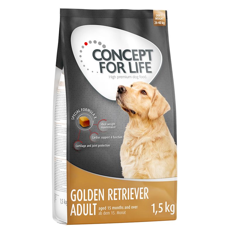 Concept for Life Golden Retriever Adult || Concept for Life || view 2