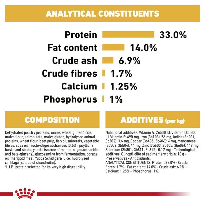 Royal Canin Labrador Retriever Puppy || Royal Canin Breed || view 9
