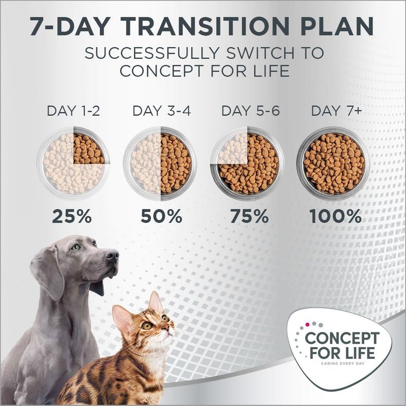 Concept for Life Oral Care || Concept for Life || view 12