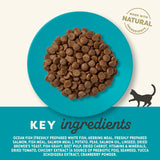 Applaws Cat Food Economy Packs || Applaws || view 15
