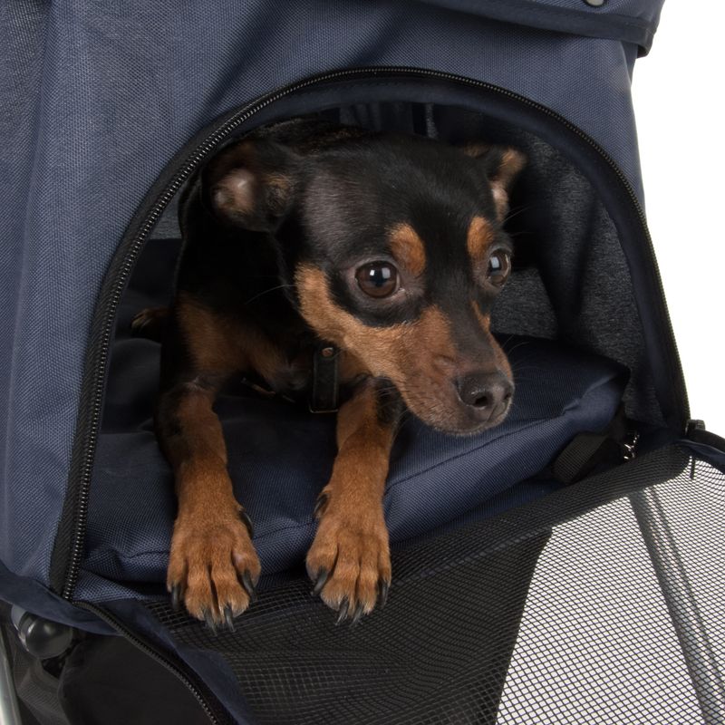 Sporty Pet Stroller for Small Dogs || zooplus Exclusive || view 2
