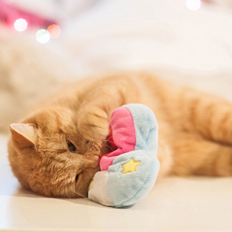 Aumüller Rainbow Heart Cat Toy || undefined || view 6
