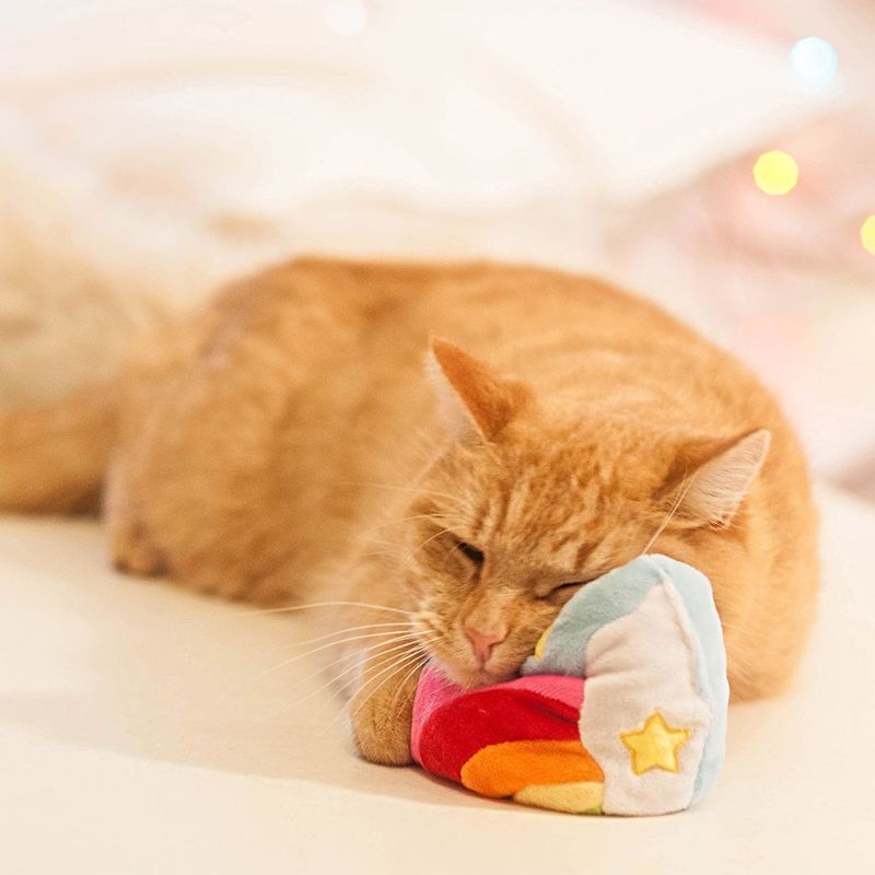 Aumüller Rainbow Heart Cat Toy || undefined || view 4