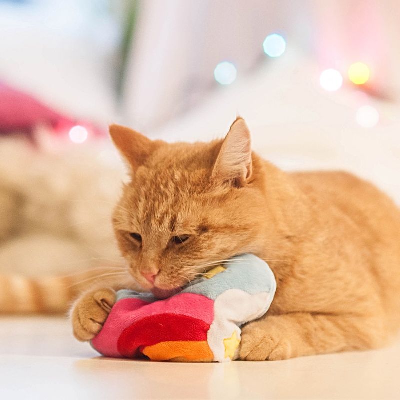 Aumüller Rainbow Heart Cat Toy || undefined || view 8