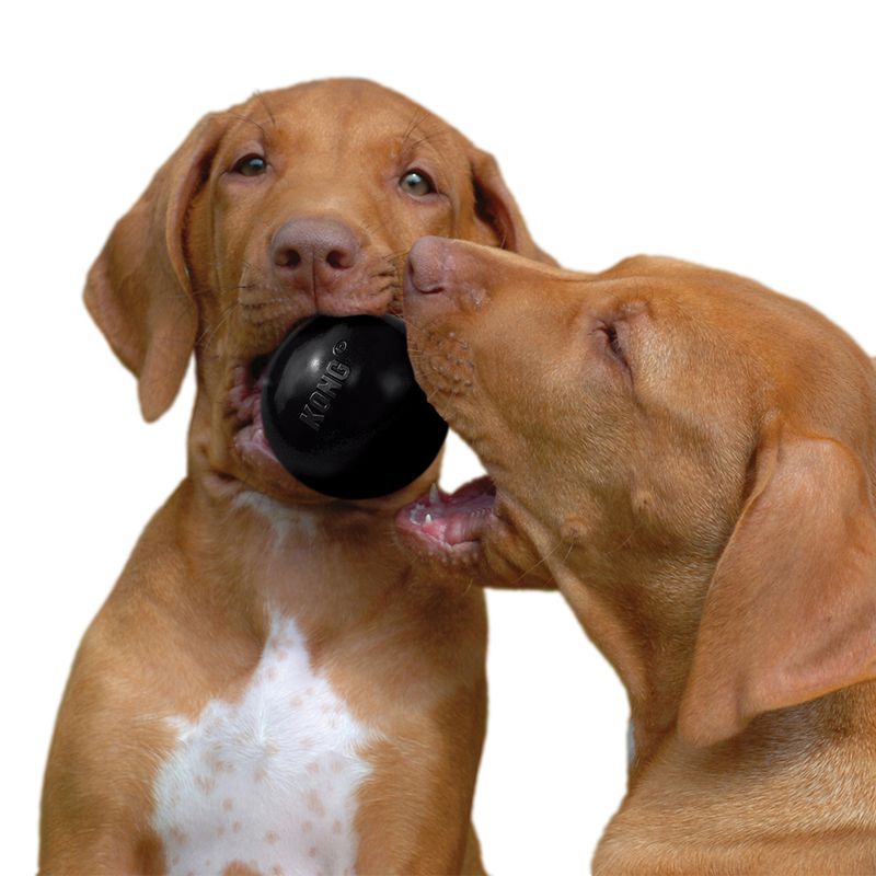 KONG Extreme Ball || KONG || view 3