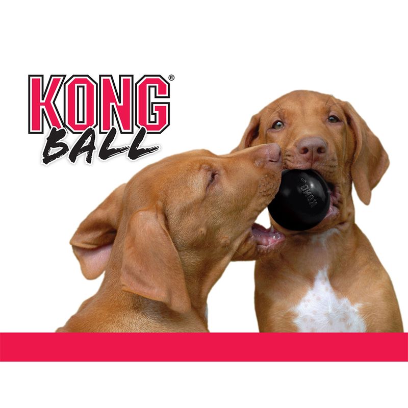 KONG Extreme Ball || KONG || view 4