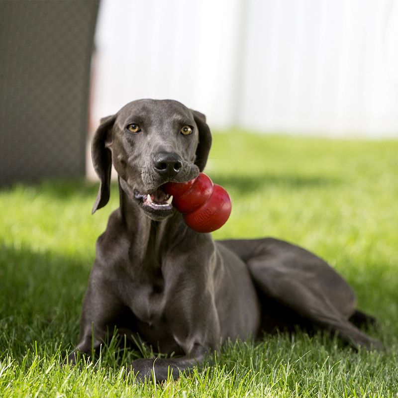 KONG Classic || KONG || view 14