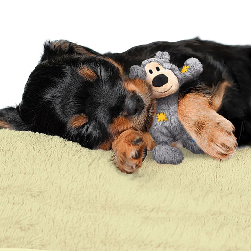 KONG Wild Knots Bears || KONG || view 7