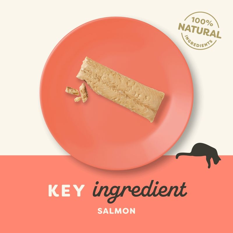 Applaws Cat Salmon Loin || undefined || view 3