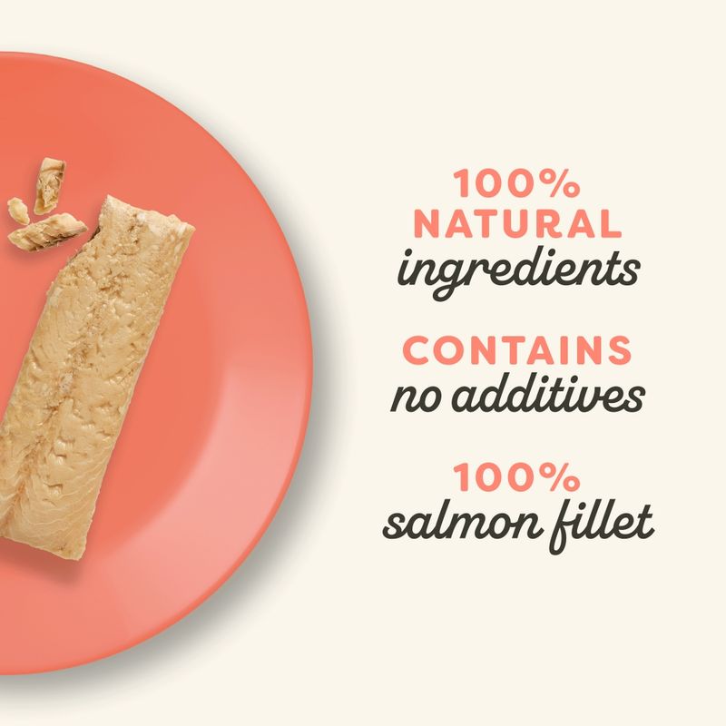 Applaws Cat Salmon Loin || undefined || view 4