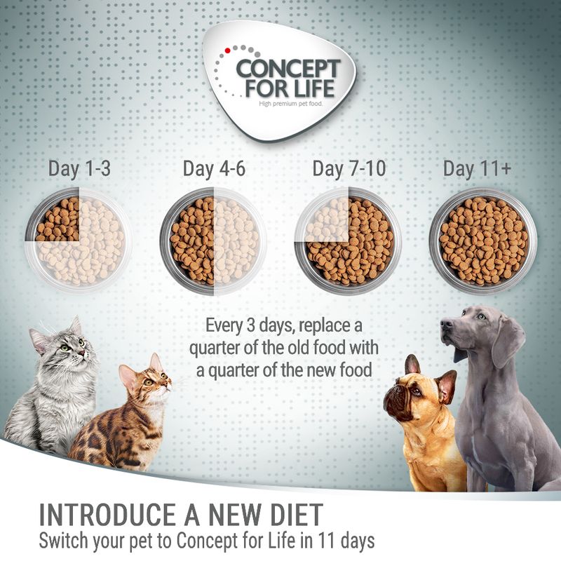 Concept for Life Sensitive Cats – in Gravy || Concept for Life || view 3