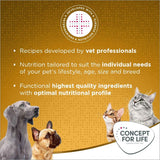 Concept for Life Indoor Cats || Concept for Life || view 11