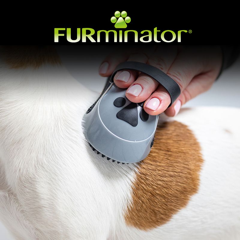 FURminator Curry Comb for Dogs || FURminator || view 5