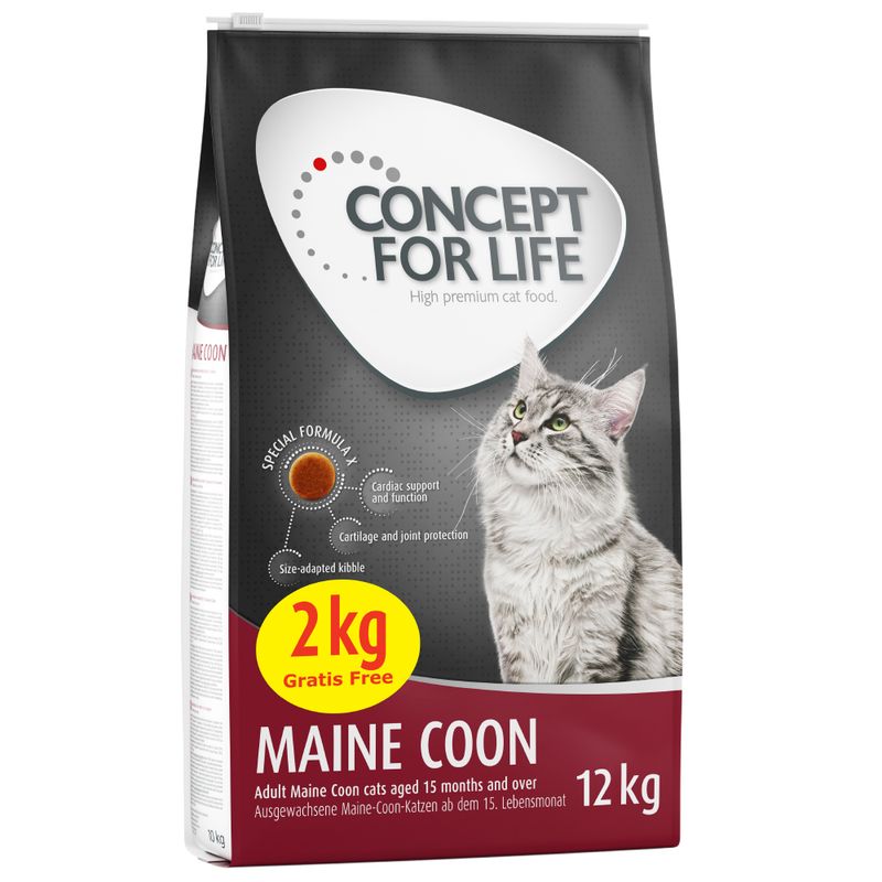 Concept for Life Maine Coon Adult || Concept for Life || view 6