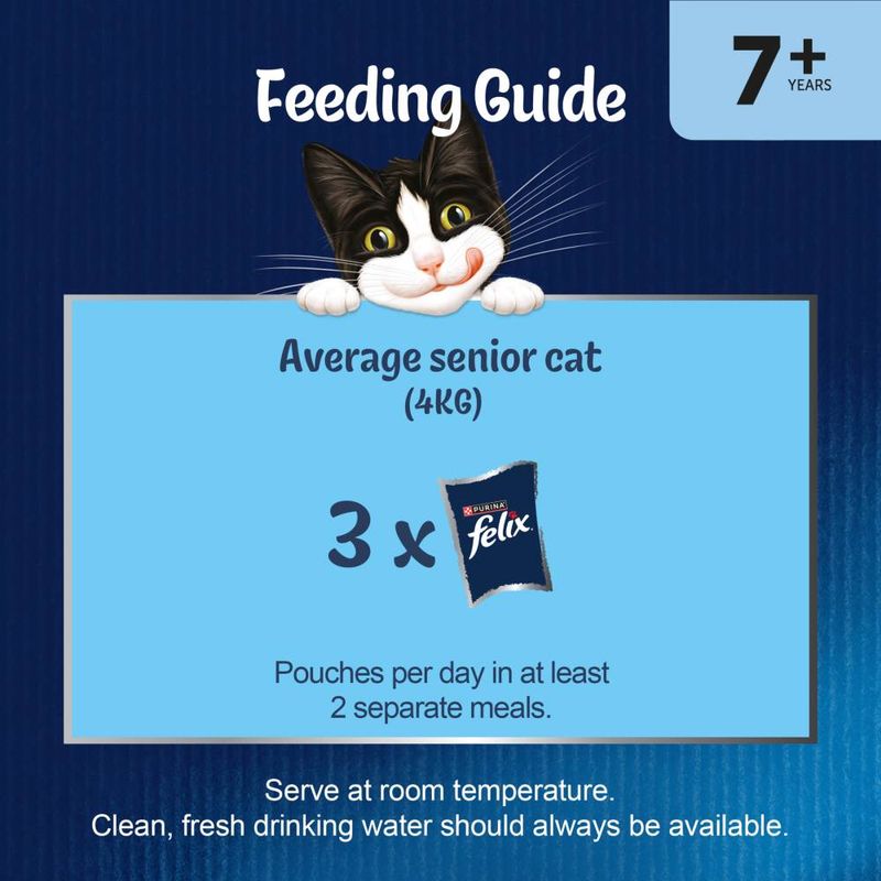 Felix Senior As Good As It Looks 24 x 100g/85g || undefined || view 11