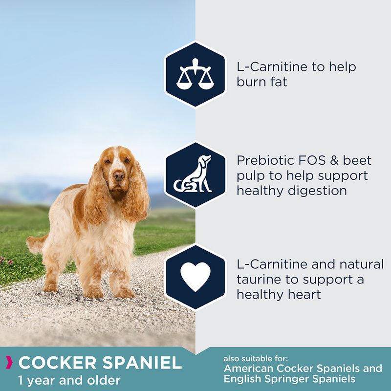 Eukanuba Cocker Spaniel Adult || Eukanuba || view 4