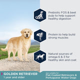 Eukanuba Golden Retriever Adult || Eukanuba || view 4
