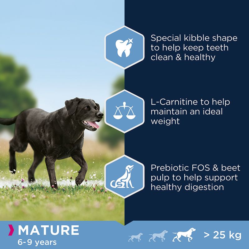 Eukanuba Thriving Mature Large Breed Chicken || Eukanuba || view 4