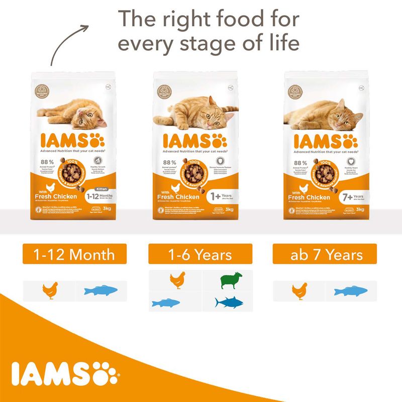 IAMS Advanced Nutrition Adult Cat with Lamb || IAMS || view 9