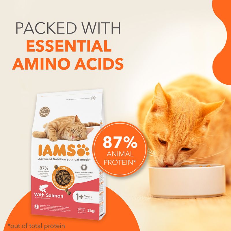 IAMS Advanced Nutrition Adult Cat with Salmon || IAMS || view 2