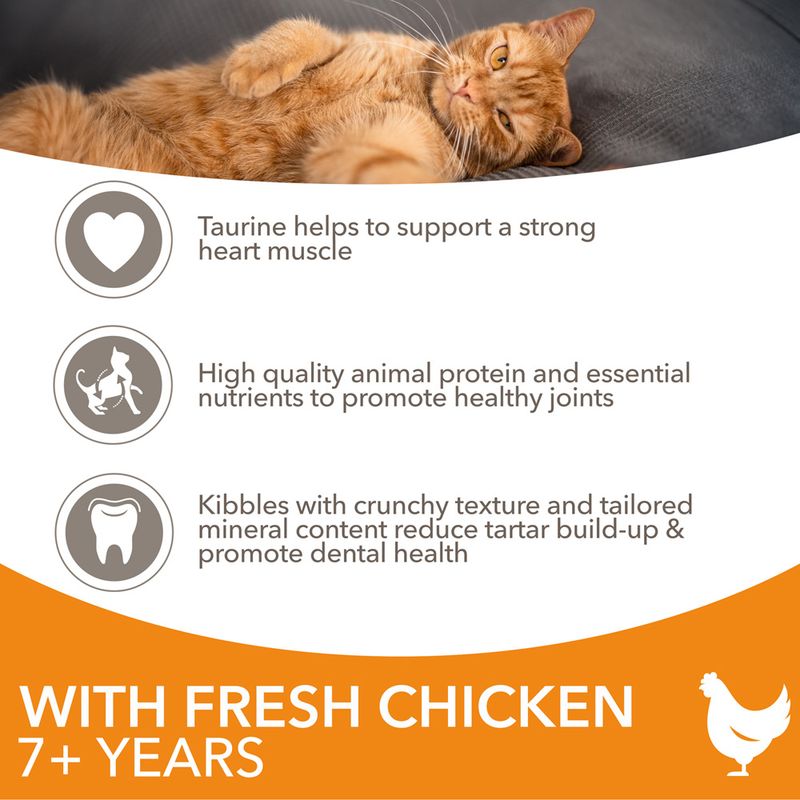 IAMS Advanced Nutrition Senior Cat 7+ with Chicken || IAMS || view 3