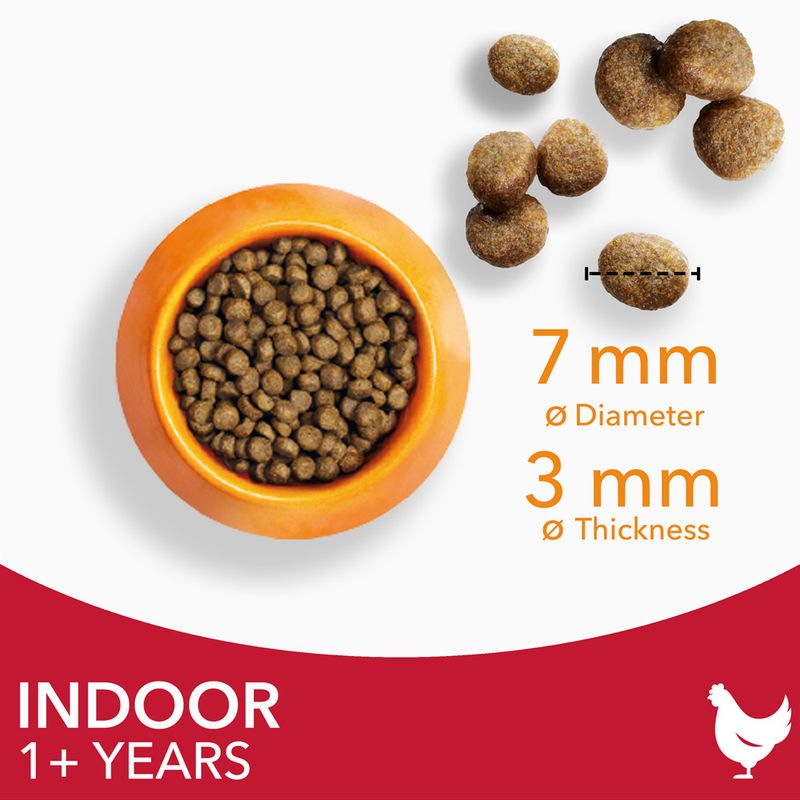 IAMS Advanced Nutrition Indoor Cat with Chicken || IAMS || view 5