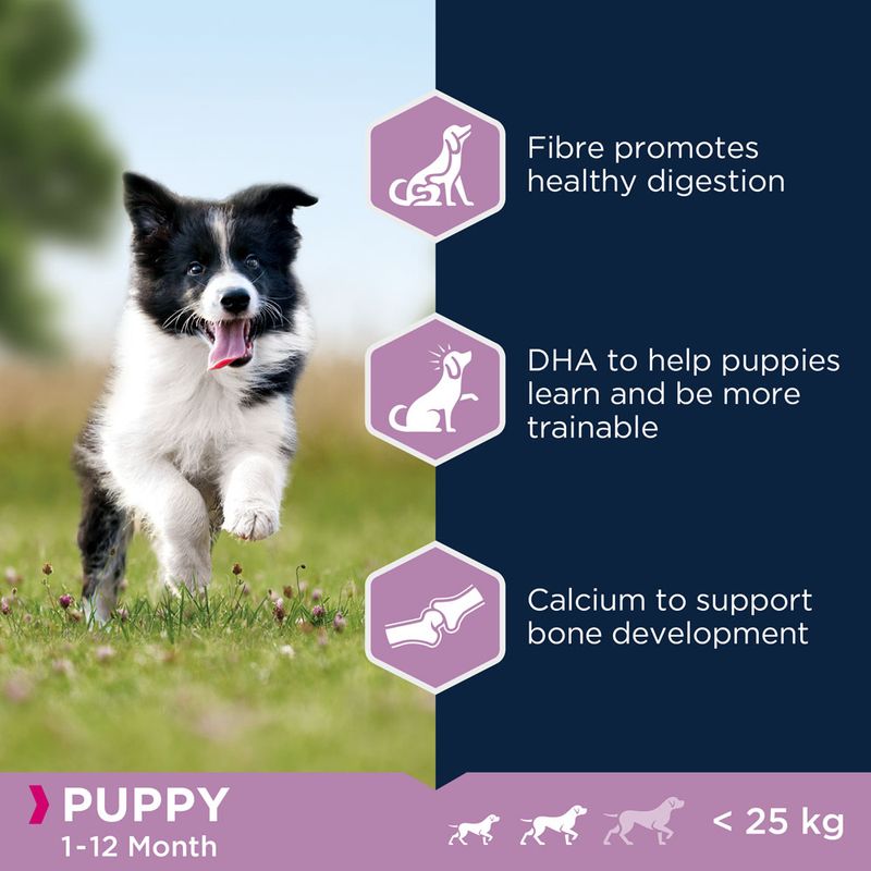 Eukanuba Puppy Small & Medium Breed – Lamb & Rice || Eukanuba || view 3