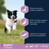 Eukanuba Puppy Small & Medium Breed – Lamb & Rice || Eukanuba || view 3