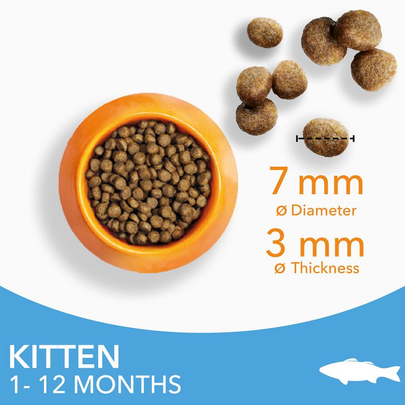 IAMS Advanced Nutrition Kitten with Ocean Fish || IAMS || view 4