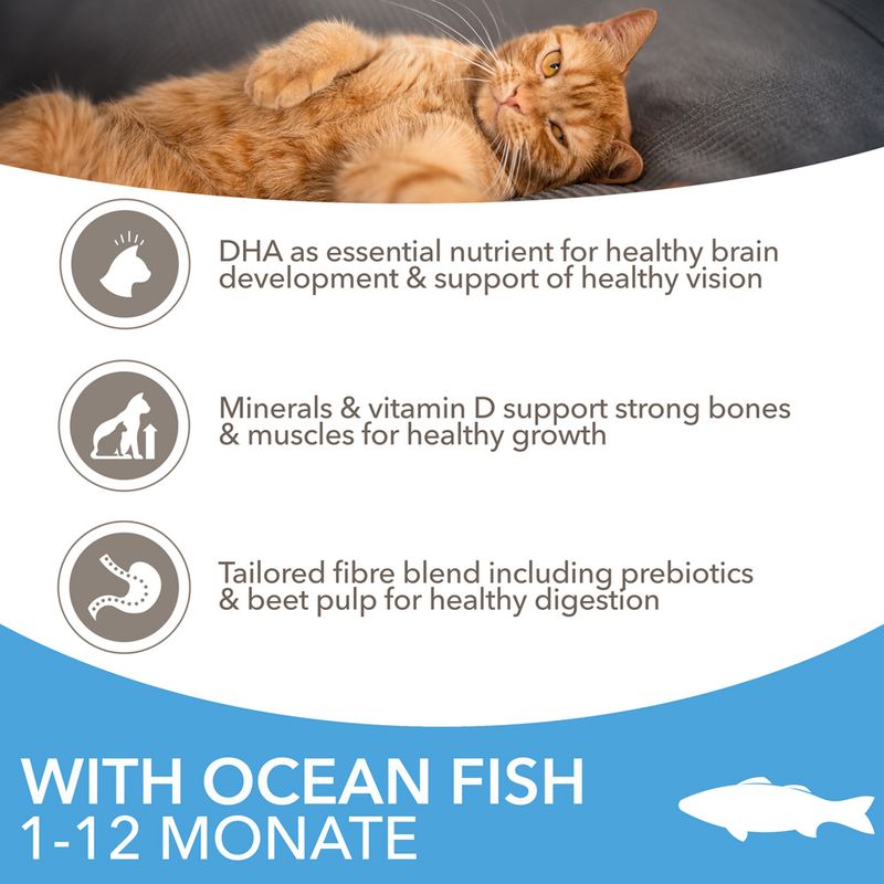 IAMS Advanced Nutrition Kitten with Ocean Fish || IAMS || view 3
