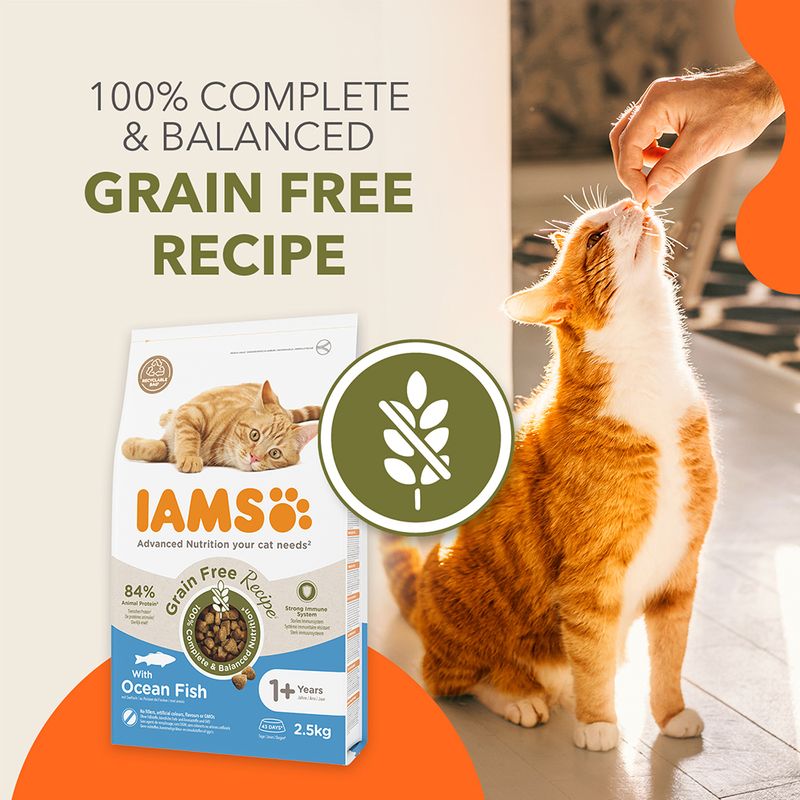 IAMS Advanced Nutrition Grain-Free with Ocean Fish || IAMS || view 3