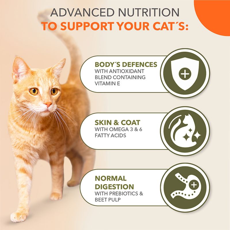IAMS Advanced Nutrition Grain-Free with Ocean Fish || IAMS || view 4