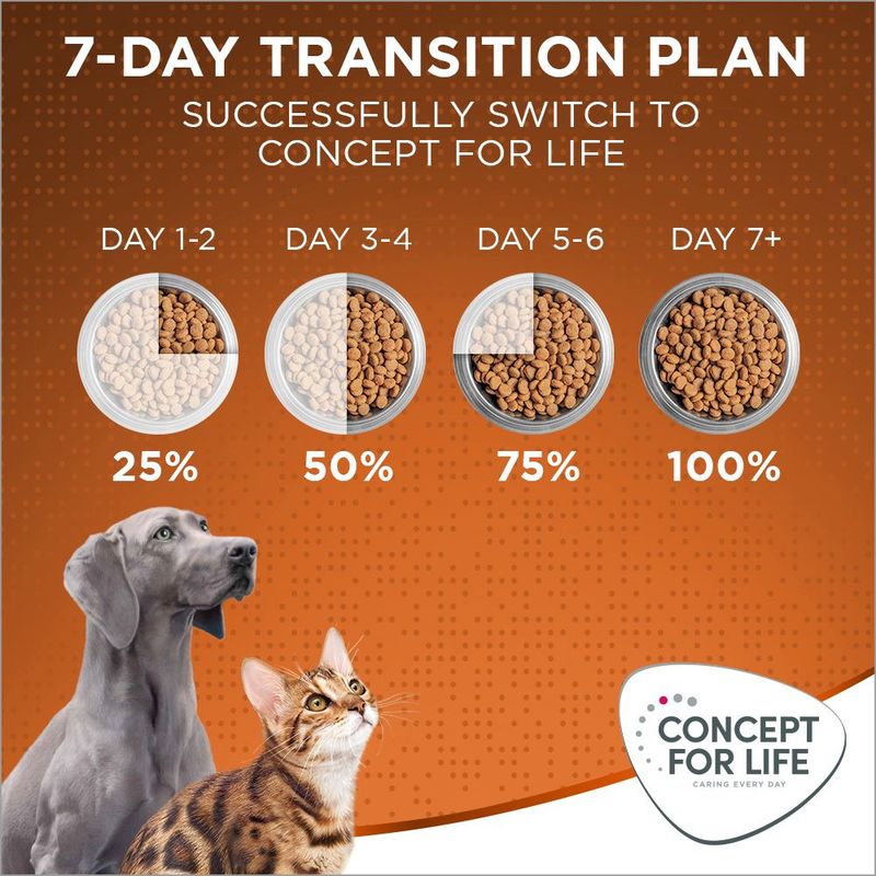 Concept for Life Outdoor Cats || undefined || view 12