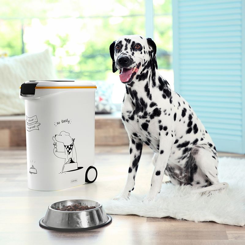 Curver Silhouette Dry Dog Food Container || Curver || view 3