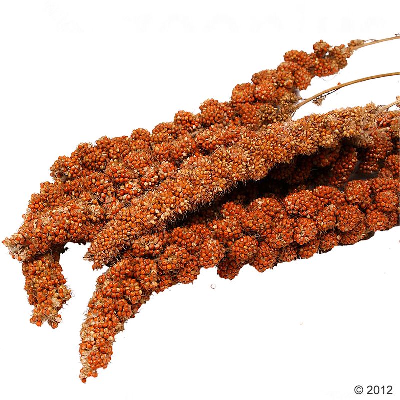 Savic Food Holder Pincer || savic || view 4