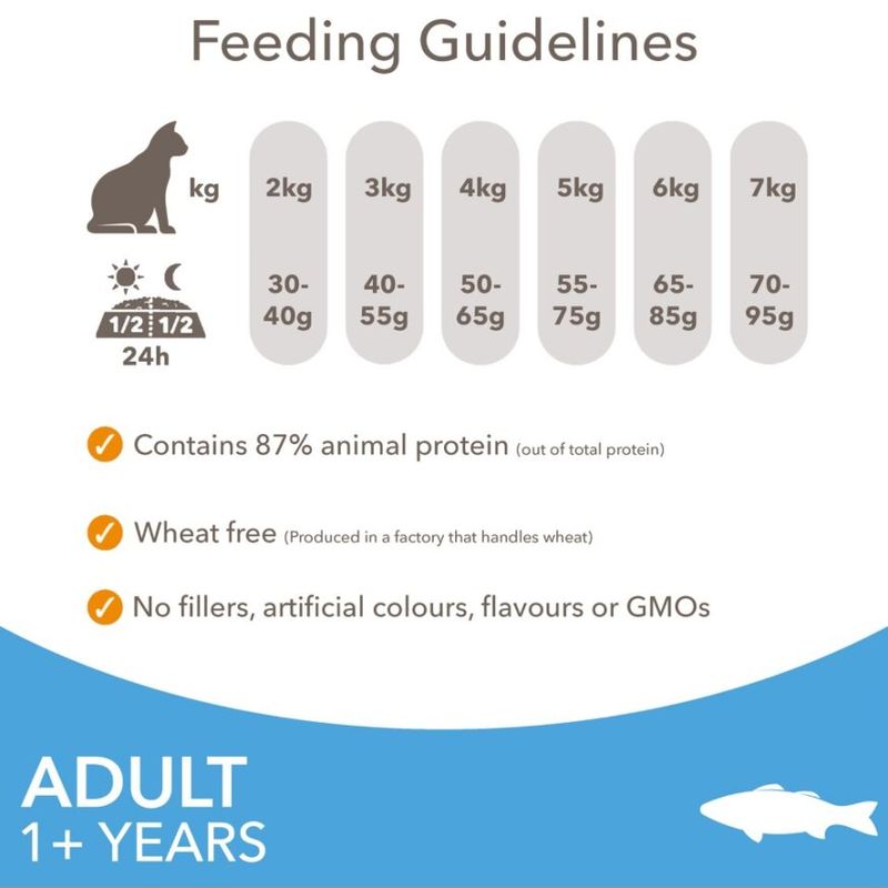 IAMS Advanced Nutrition Adult Cat with Ocean Fish || IAMS || view 5