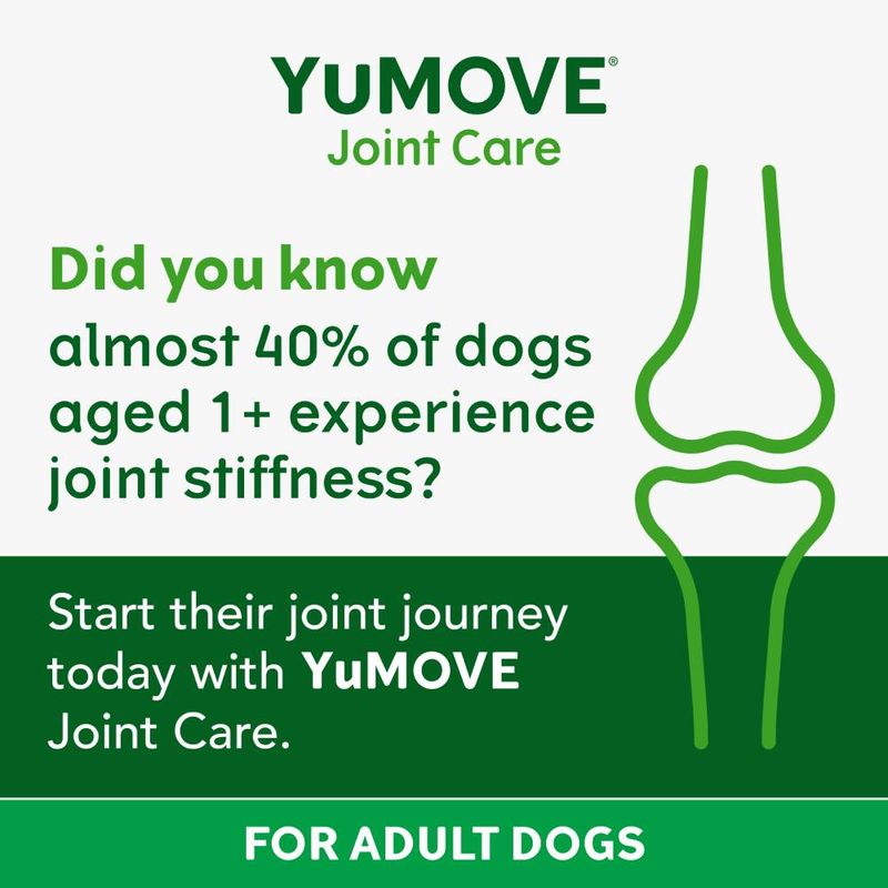 YuMOVE Joint Care for Adult Dogs || YuMOVE || view 7