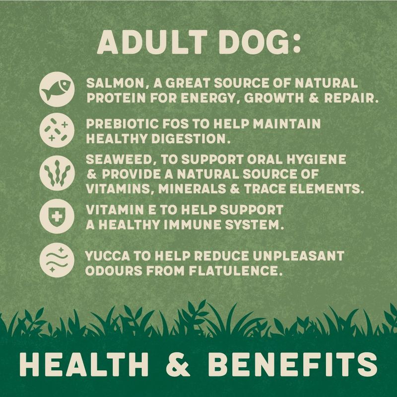 Harringtons Complete Adult Dog - Rich in Salmon & Potato || Harringtons || view 5