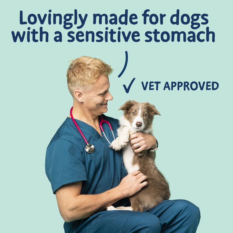 Barking Heads All Hounder Tummy Loving Care || barking heads || view 8