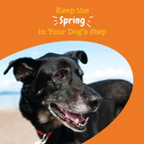 Zesty Paws Senior Advanced Hip & Joint Chews Mobility - Turkey || Zesty Paws || view 5