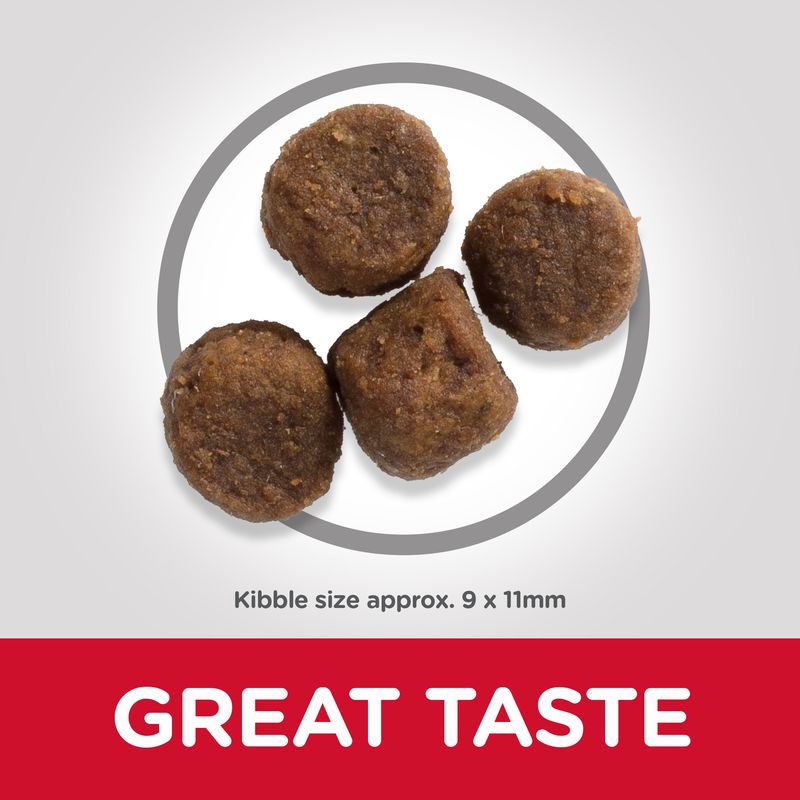 Hill's Science Plan Puppy <1 Medium with Lamb & Rice || Hill's Science Plan || view 2