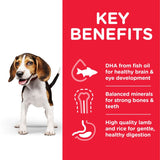 Hill’s Science Plan Puppy <1 Medium with Chicken || Hill's Science Plan || view 3