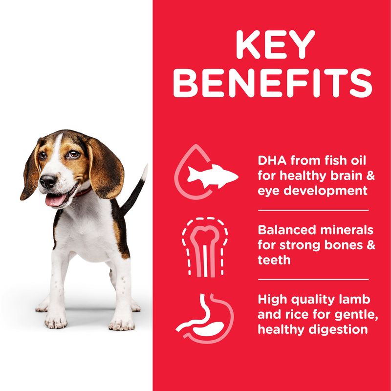 Hill’s Science Plan Puppy <1 Medium with Chicken || Hill's Science Plan || view 3